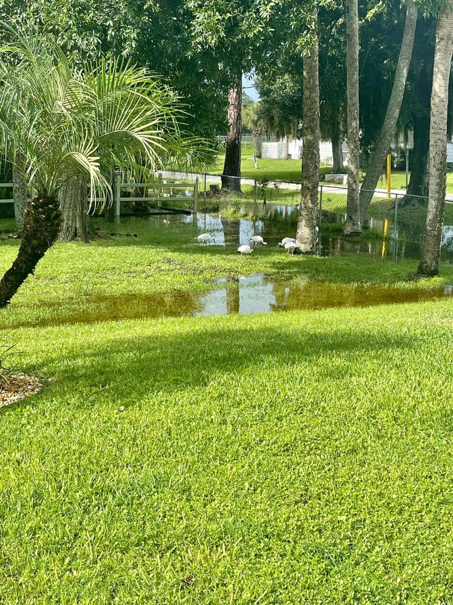 Sunny Oasis Getaway -Heated Pool-Mini Golf-Near Beach Nokomis Buitenkant foto